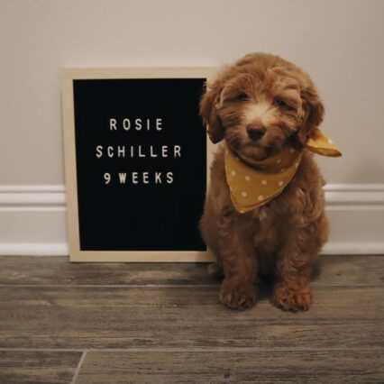 Rosie